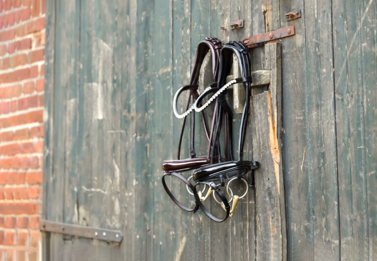 Die verschiedenen Reithalfter