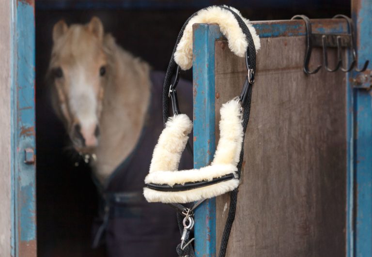 Kunstfell vs. Lammfell