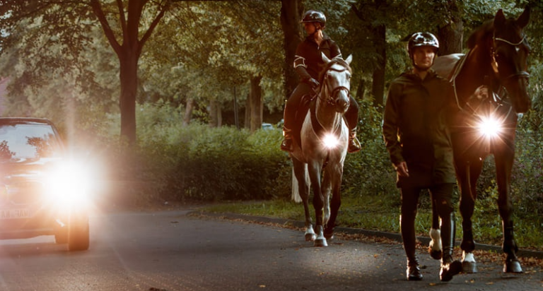 Sicher durch die Dunkelheit – Beleuchtung für Pferde, die wirklich rundum schützt