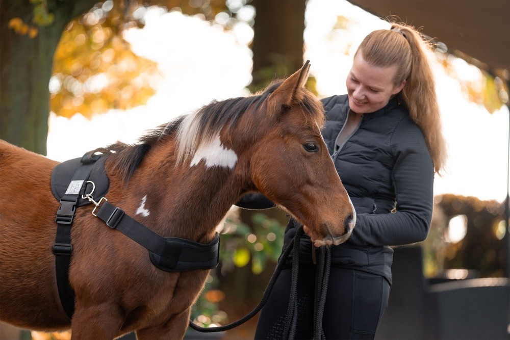 Frau streichelt Fohlen welches das Fohlengeschirr Foalmaster trägt