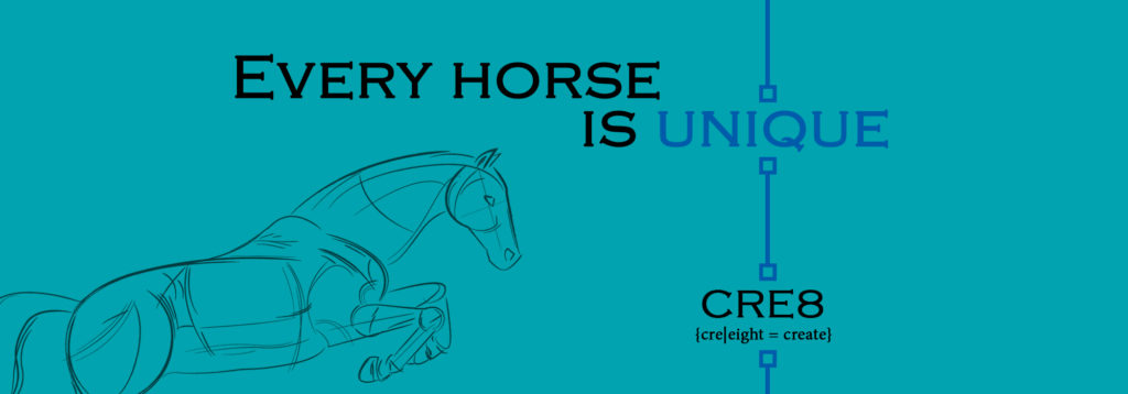 Skizze Pferd Trense zum Zusammenstellen bei Kavalkade