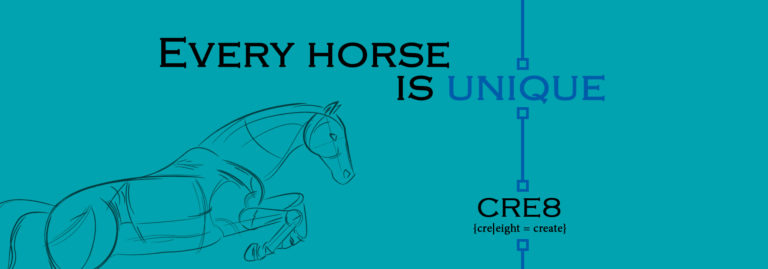 Trensen Teil 4/4 – sind Funktionstrensen besser als klassische Trensen?