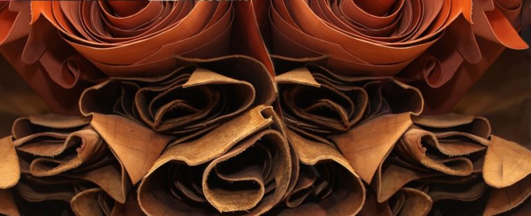 Leder Teil 1/2 – Überblick und Herstellungsprozess