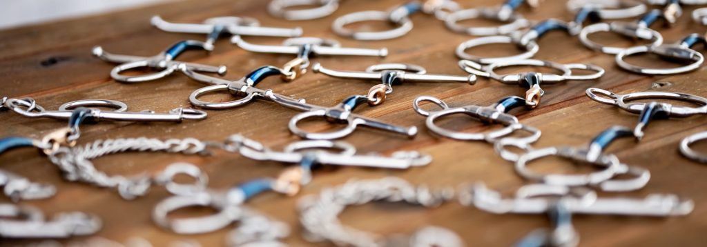 viele Pferdegebisse auf Holzuntergrund verteilt