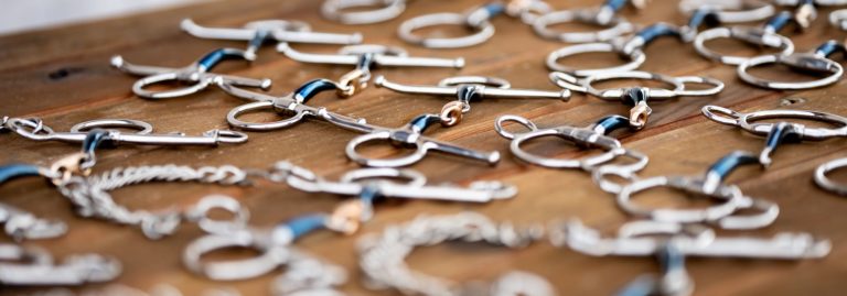 Gebisse Teil 1/2 – welches Gebiss das richtige für mein Pferd ist