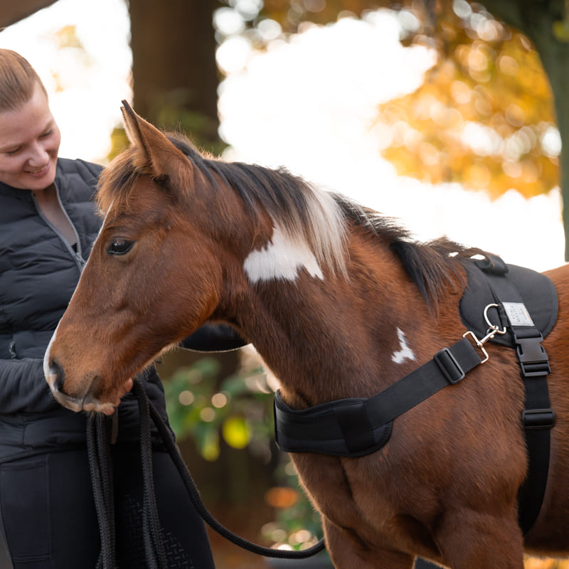 Frau mit braunem Fohlen