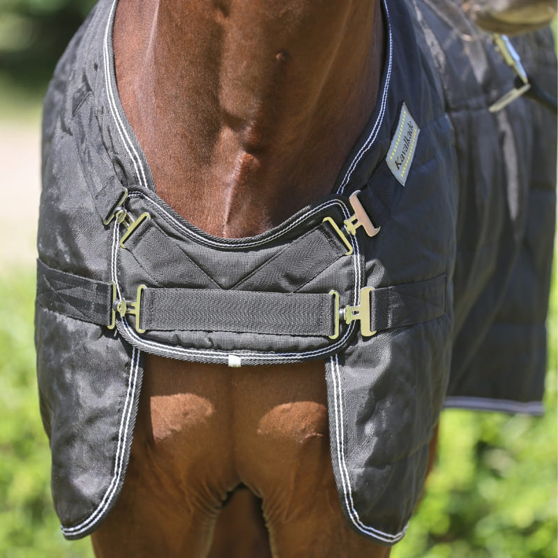 Pferdekörper mit schwarzer Pferdedecke