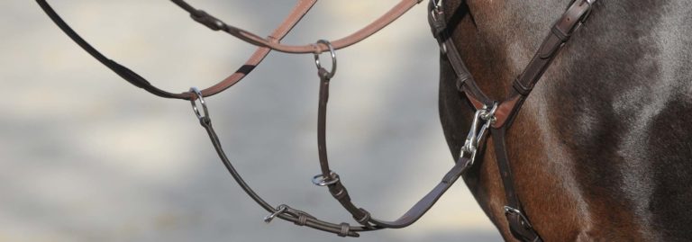 Zügel beim Pferd – Welche gibt es und wann ist welcher der richtige?