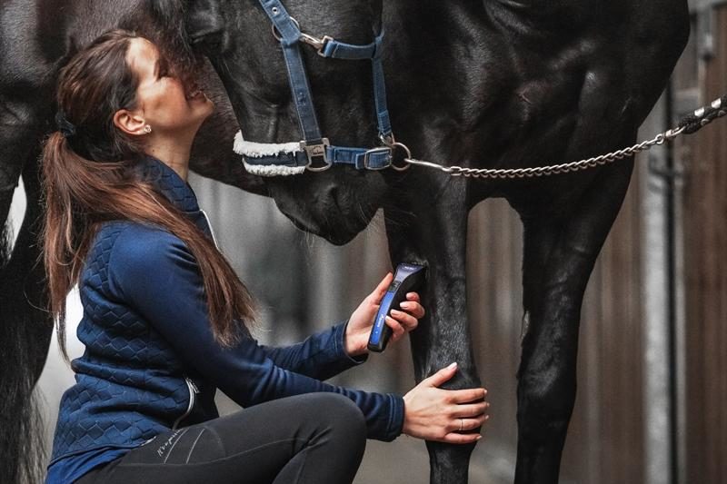 Frau kniet vor Pferd und schert dessen Bein