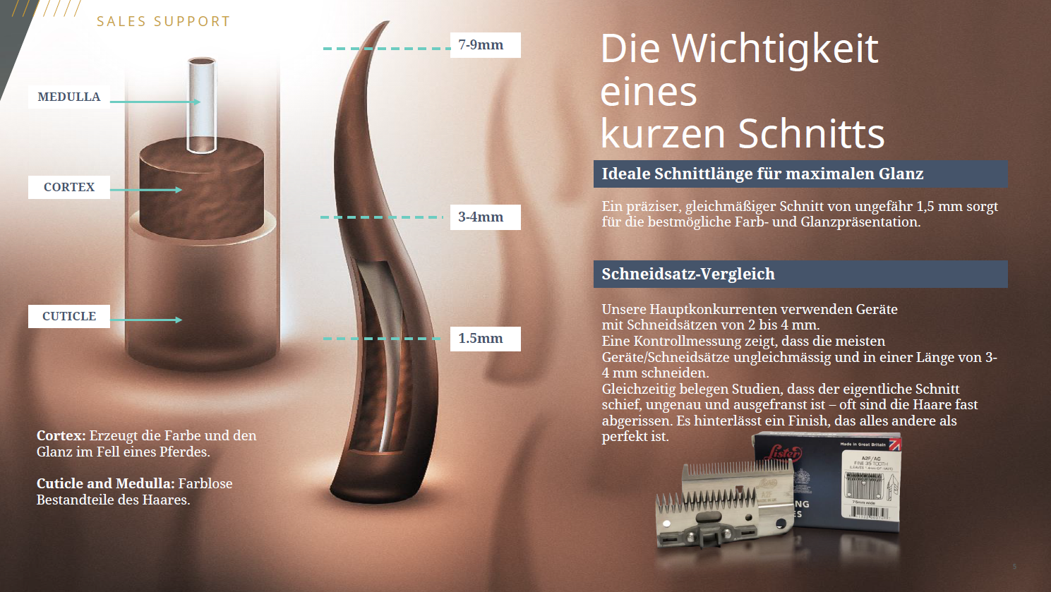 Grafik mit Details zur Wichtigkeit einer kurzen Felllänge bei Pferden